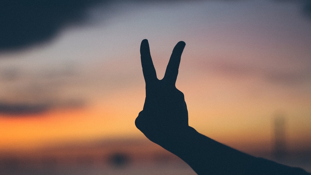 silhouette photography of right person's hand doing peace hand gesture